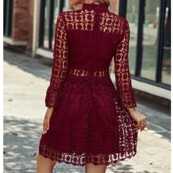 Luxurious mesh insert lace dress - Picture 2 of 5